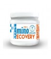 Nutrisport Amino Recovery